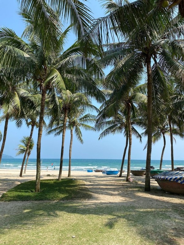 미케 해변의 코코넛 나무. 사진 제공: 트립어드바이저